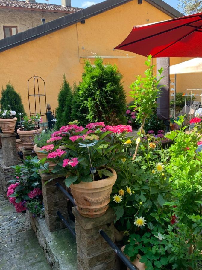 Ferienhaus, Rustico Auf Burg Локарно Екстер'єр фото